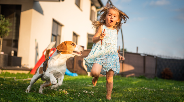 Безопасность