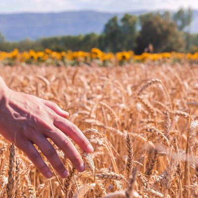 Сельская ипотека