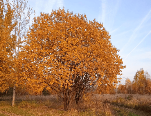 Микрорайон Рождественское ход строительства 2022 осень