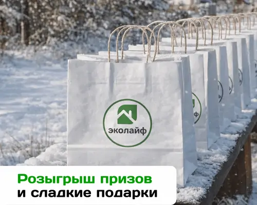 Зимняя выставка домов 24.12.24