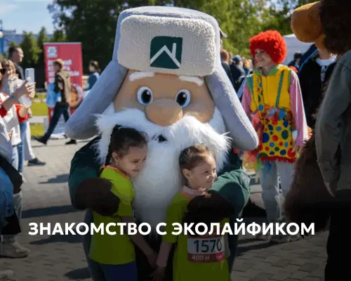Знакомство с Эколайфиком